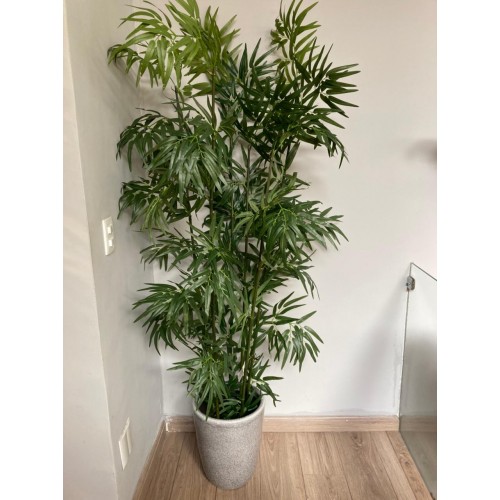 Árvore Permanente Perfeita Bambu X6 Tronco Verde, lavável, ideal para ambientes internos e corporativos, não precisa regar.